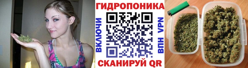 Цена Новое Девяткино Альфа ПВП  АМФ  КОКАИН  ГАШИШ  Марихуана  Мефедрон 