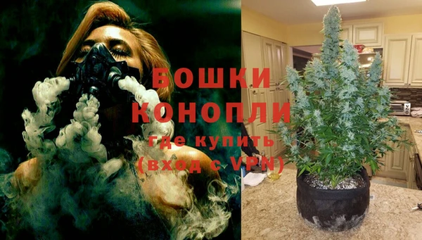 бошки Бронницы