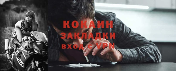 мдпв Бородино