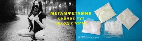 мдпв Бородино