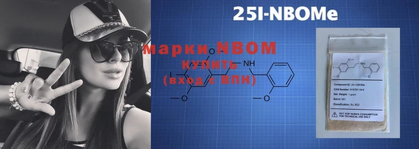 мдпв Бородино