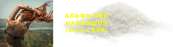 мдпв Бородино