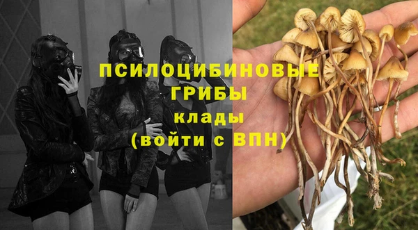 бошки Бронницы