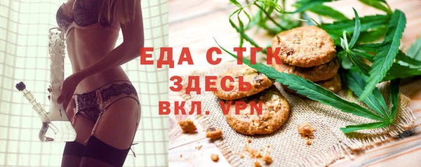 мдпв Бородино