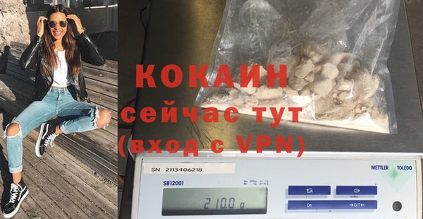 сатива Богданович