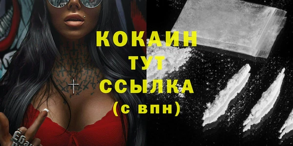бошки Бронницы