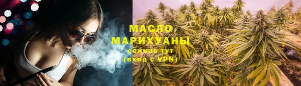 мдпв Бородино