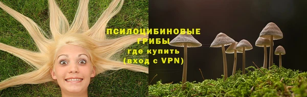 мдпв Бородино