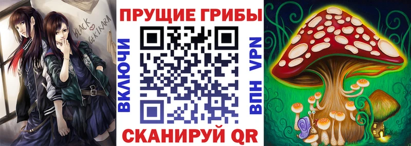 магазин    Новое Девяткино  Галлюциногенные грибы Cubensis 